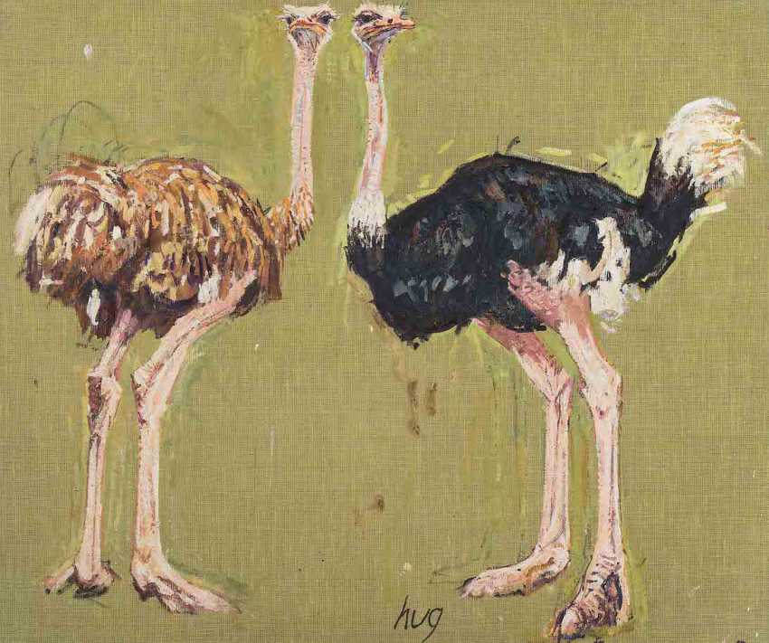 Maler Der Tiere Amazon De Fritz Hug Bucher