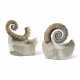 TWO UNCOILED SPINY AMMONITES - Foto 1