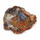 A LARGE COLOURFUL SLICE OF PETRIFIED WOOD - фото 1