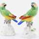 Pair of parrots on tree trunk - photo 1