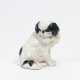 Japanese Chin - photo 1