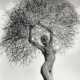Herb Ritts (Los Angeles 1952 - Los Angeles 2002). Neith with Tumbleweed Paradise Cove. - фото 1