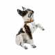 Lebensgroße Figur einer französischen Bulldogge - Foto 1