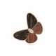 NO RESERVE | VAN CLEEF & ARPELS WOOD AND DIAMOND BUTTERFLY BROOCH - photo 1