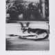 Gerhard Richter - photo 1