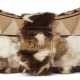 A BROWN FUR & SUEDE OVERSIZED MESSENGER BAG WITH GOLD HARDWARE - фото 1