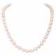 Akoya cultured pearl necklace, - фото 1