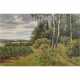 GEELMUYDEN, OLA (1858-1944), "Landscape with birch trees on a forest path". - фото 1