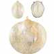 A COLLECTION OF THREE CARVED MOTHER-OF-PEARL SHELL PLAQU - фото 1
