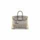 A SHINY OMBRÉ SALVATOR LIZARD BIRKIN 25 WITH PALLADIUM HARDWARE - photo 1