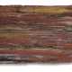 A SLICE OF SILICIFIED CONIFER WOOD - фото 1