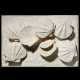 A PLATE OF FOSSILIZED SCALLOPS - фото 1