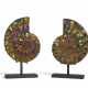 A PAIR OF INLAID AMMONITES - photo 1