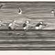 GERHARD MARCKS 'VIERER AUF DER ALSTER' (1956) - Foto 1