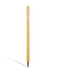 GEOFFREY BOYCOTT GILLETTE CUP FINAL STUMP GEOFFREY BOYCOTT GILLETTE CUP FINAL STUMP