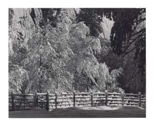 ANSEL ADAMS (1902–1984) ANSEL ADAMS (1902–1984)