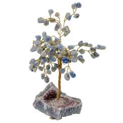 Sapling, 20./21. century Sapling, 20./21. century