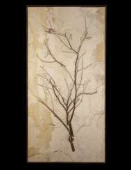 A LARGE FOSSIL BRANCH A LARGE FOSSIL BRANCH