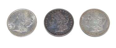 US Morgan Dollar collection US Morgan Dollar collection