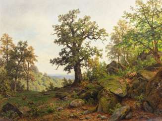 Waldlandschaft Waldlandschaft