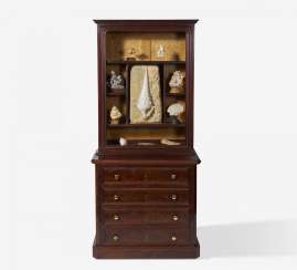 Extraordinary cabinet with a collection of gastropods and mussels Extraordinary cabinet with a collection of gastropods and mussels
