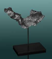 EVOKING A RAM’S HORN, AN AESTHETIC GIBEON METEORITE EVOKING A RAM’S HORN, AN AESTHETIC GIBEON METEORITE