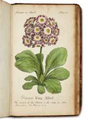 The Compleat Florist The Compleat Florist