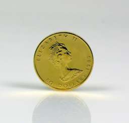 Gold coin Gold coin