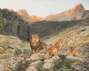 EGelbgoldenschwyler, Urs (Subingen 1849–1923 Zürich) EGelbgoldenschwyler, Urs (Subingen 1849–1923 Zürich)