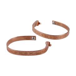 LOUIS VUITTON earrings LOUIS VUITTON earrings