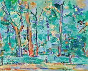 Forest landscape Forest landscape