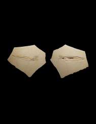 THE SLAB AND COUNTER SLAB OF A FOSSIL SQUID WITH CRYSTALISED HEAD THE SLAB AND COUNTER SLAB OF A FOSSIL SQUID WITH CRYSTALISED HEAD
