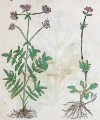 (Bock, H. (Bock, H.