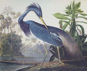 Audubon, J.J. Audubon, J.J.