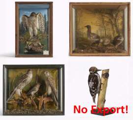 Four dioramas with domestic birds and a woodpecker on a branch Four dioramas with domestic birds and a woodpecker on a branch