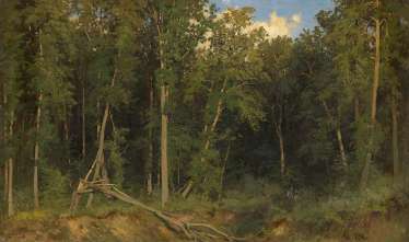 SHISHKIN, IVAN SHISHKIN, IVAN