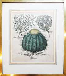 Jardin Eystettensis Jardin Eystettensis