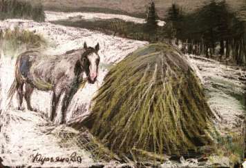 Olga Kiryakova Olga Kiryakova