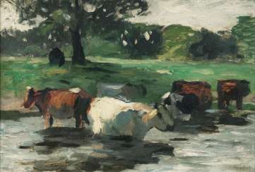 Cows in the water Cows in the water