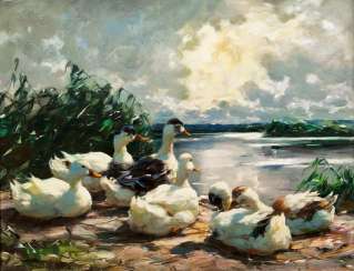 Six canards au repos Six canards au repos