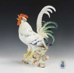 Rooster Rooster