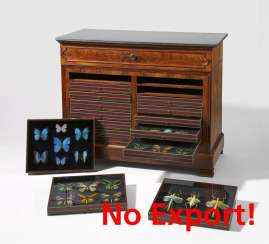 Entomological cabinet Entomological cabinet