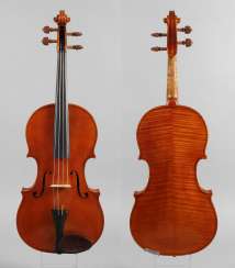 Viola in a case Viola in a case