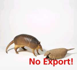 Two rare armadillos Two rare armadillos