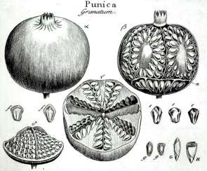 Jardinier, J. Jardinier, J.
