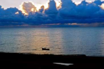 Andrey Petrosyan Andrey Petrosyan