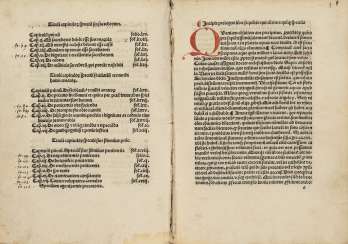 DIONYSIUS, il Cartusiano (1402-1471), attribuito (ma GRUYTRODE, Jacobus de). Edito da: Petrus Danhauser. (fine XV secolo). - Specula omnis status humanae vitae. Nuremberg: Peter Wagner, 28 gennaio 1495. DIONYSIUS, il Cartusiano (1402-1471), attribuito (ma GRUYTRODE, Jacobus de). Edito da: Petrus Danhauser. (fine XV secolo). - Specula omnis status humanae vitae. Nuremberg: Peter Wagner, 28 gennaio 1495.