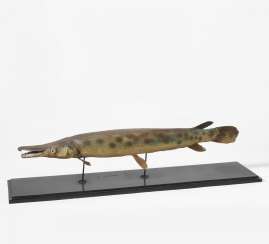 Great alligator pike Great alligator pike