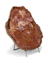A SLICE OF PETRIFIED WOOD A SLICE OF PETRIFIED WOOD