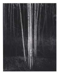ANSEL ADAMS (1902–1984) ANSEL ADAMS (1902–1984)